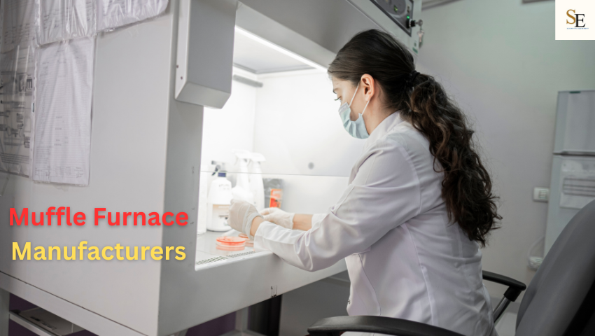 Top 10 Laboratory Muffle Furnace Manufacturers